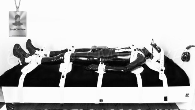 RmoBCSMSlave Rubber Gimp Segufixed